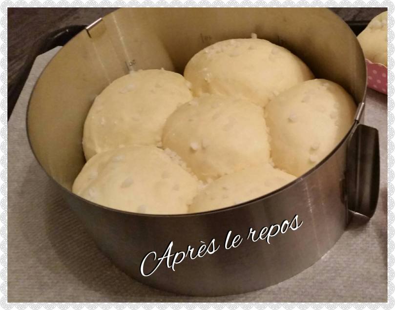 butchy double volume